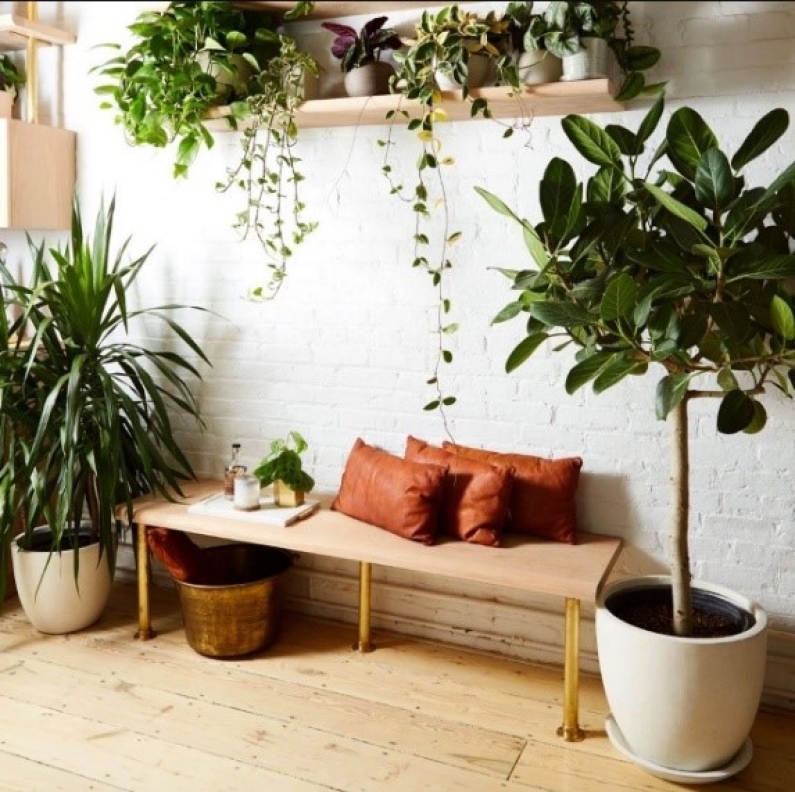 Biophilic Design