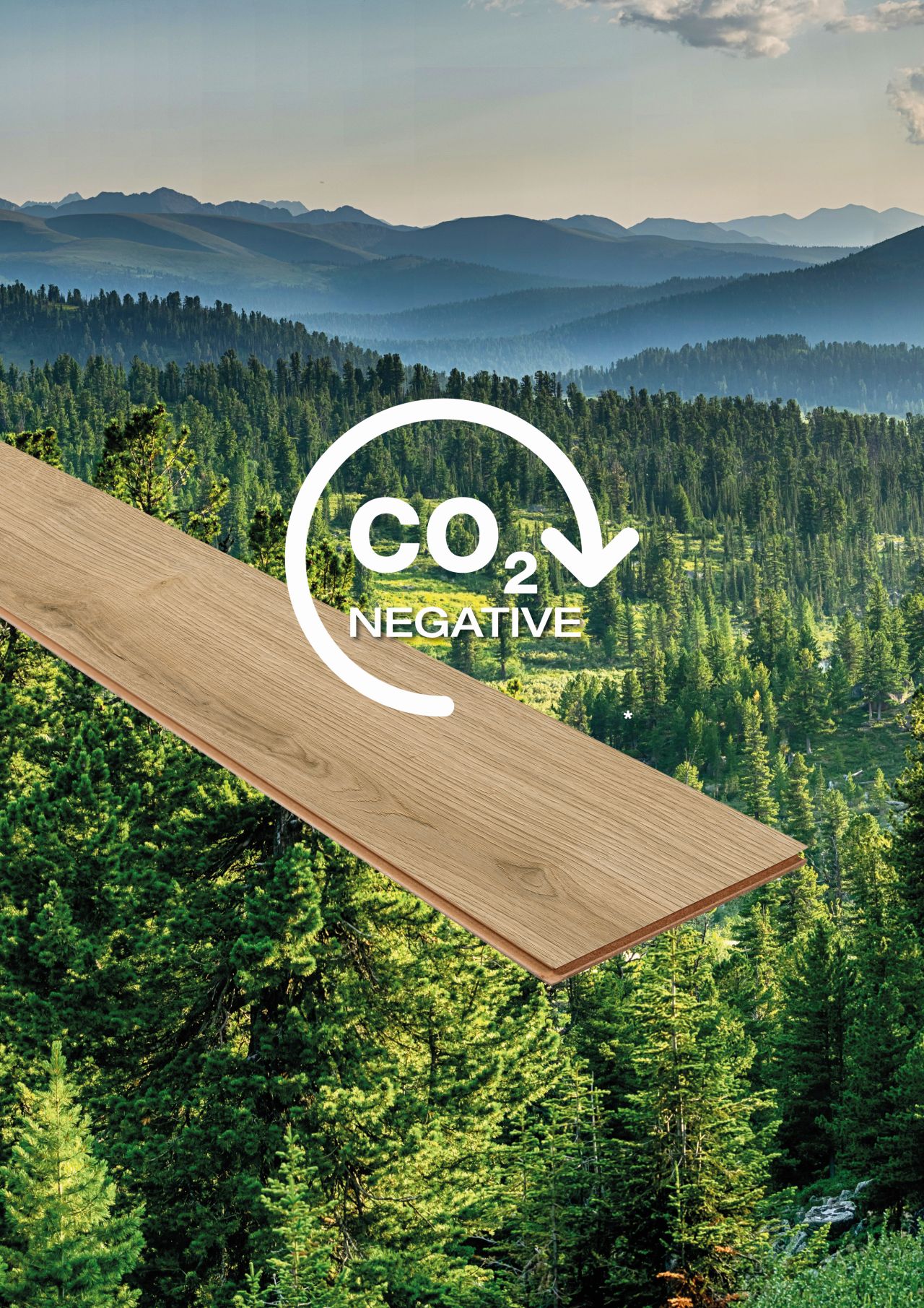 CO2 Background1 web