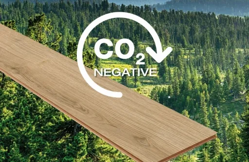 CO2 Background1 web
