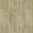 Albus Oak Honey