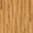 Amber 24438