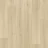 Bur Oak Blonde