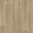 Bur Oak Bronze