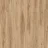 Fantail 22229