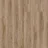 Fantail 22229