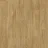 Havanna Oak 662M